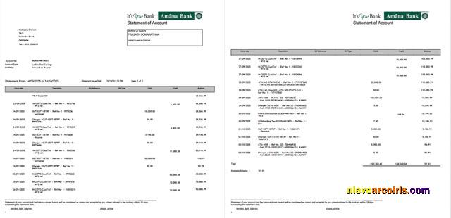 Sri Lanka Amana Bank statement of account Word and PDF, 2 pages